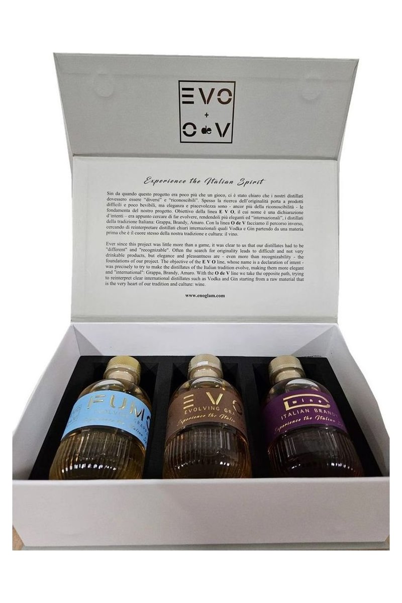 EVO Experience Box 3 MIX (EVO, FUMO, DWINE)