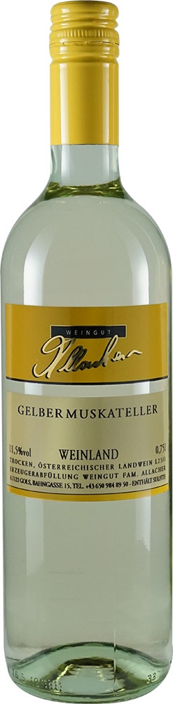 Allacher Gelber Muskateller 2025