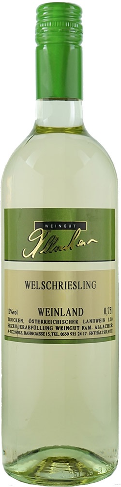 Allacher Welschriesling 2025
